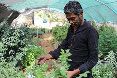 Organic farmer Riyadh Yousef Marror at his farm in Jordan.