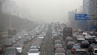 التلوث يفسد احتفالات عام "الديك" في الصين