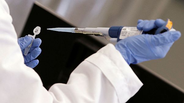 اكتشاف علمي جديد...خلايا بشرية في أجنة خنزير اكتشاف علمي جديد...خلايا بشرية في أجنة خنزير