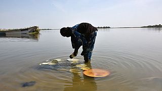 La France promet une aide d'un million d'euros pour sauvegarder l'écosystème du lac Tchad