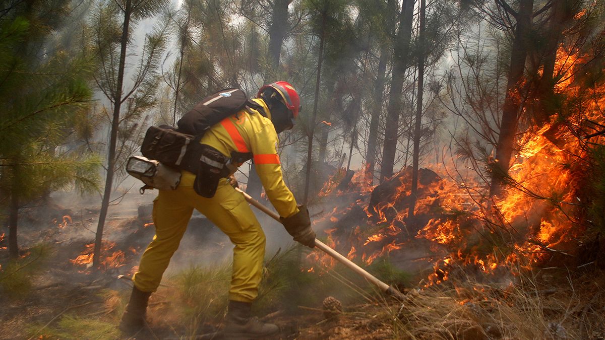 بدترین حریق تاریخ شیلی؛ نیمی از آتش سوزی ها مهار شد
