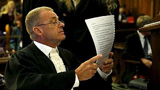 South Africa's top state prosecutor who jailed Pistorius resigns