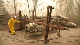 Image: CalFire firefighter Scott Wit surveys burnt out vehicles near a fall