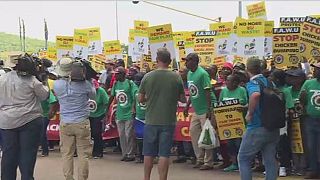 South Africa's poultry industry protests against EU dumping