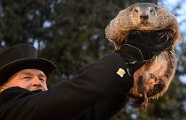 Groundhog Day: a mixture of the profane and pure fun