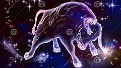 Fed up horoscope writer tells Tauruses to stop complaining