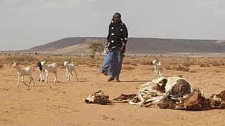 Somalia: U.N. issues famine alert