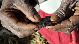"El drama de la mutilación genital femenina afecta a niñas cada vez más jóvenes"