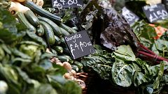 Mangelware Eisbergsalat - Supermärkte beschränken Verkauf
