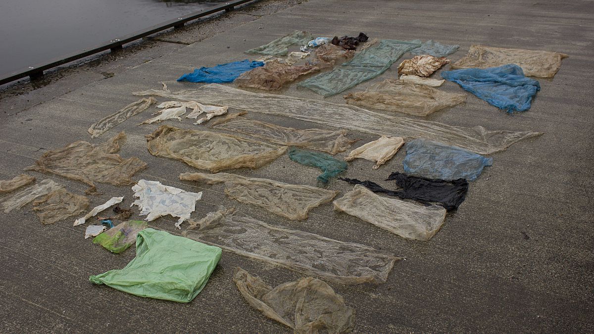 Una ballena muerta en Noruega tenía 30 bolsas de plástico en el estómago