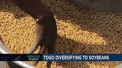 Le Togo se diversifie vers le soja et le Zimbabwe introduit une nouvelle taxe alimentaire