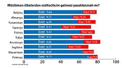 Avrupalılardan 'Müslüman göçmen konusunda' Trump'a destek