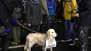 Rumänien: Demo in der Kälte