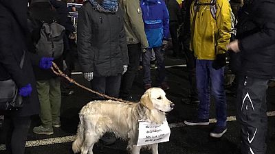 Rumänien: Demo in der Kälte