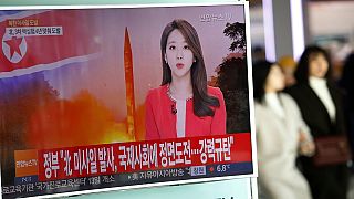 North Korea launches ballistic missile 'to test Trump’
