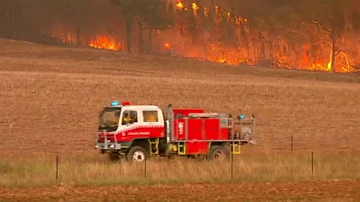 Avustralya'da 80 ayrı noktada orman yangını