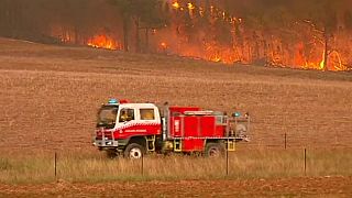 Des dizaines d'incendies ravagent l'Est de l'Australie