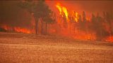Les pompiers australiens se battent contre des feux historiques