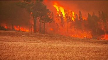 Австралийские пожарные сражаются с лесным огнем