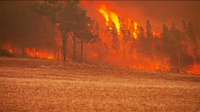 Bomberos australianos combaten incendios forestales en Nuevo Gales del Sur