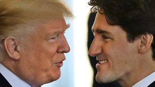 Trump holds talks with Trudeau at White House