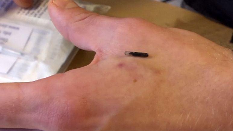 ¿Los riesgos de una invasión androide?