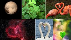 Überall Liebe: 10 ganz zufällige Herzen