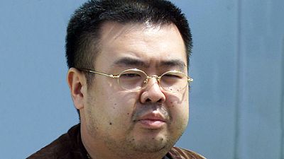 North Korean leader's half-brother 'assassinated with poisoned needles' in Malaysia, sources