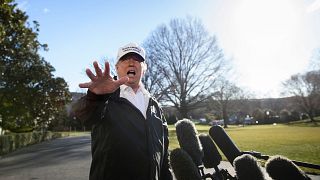 Image: Donald Trump South Lawn