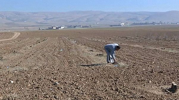 Gefahr durch Landminen: Iraks Bauern bitten um Hilfe Gefahr durch Landminen: Iraks Bauern bitten um Hilfe