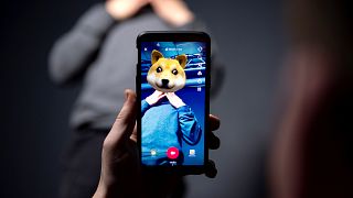 The smart phone application TikTok, a Chinese short-form video-sharing app,