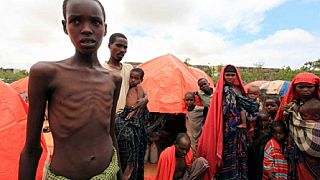 Somalie: 6 millions de personnes dans l'insécurité alimentaire (FAO)