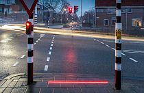Floor lighting at pedestrian road crossing could prevent phone 'zombies' wandering into traffic