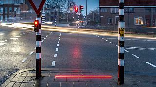 Floor lighting at pedestrian road crossing could prevent phone 'zombies' wandering into traffic