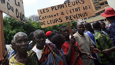 Côte d'Ivoire : interpellations lors de la manifestation des producteurs de cacao