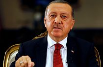 Wie sieht Erdogans umstrittene Verfassungsänderung aus?