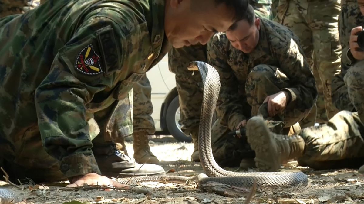 Taming cobras and drinking their blood, marines learn to survive in the jungle