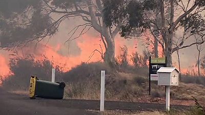 Austrália: Incêndios florestais na região de Queanbeyan aproximam-se de zonas residenciais