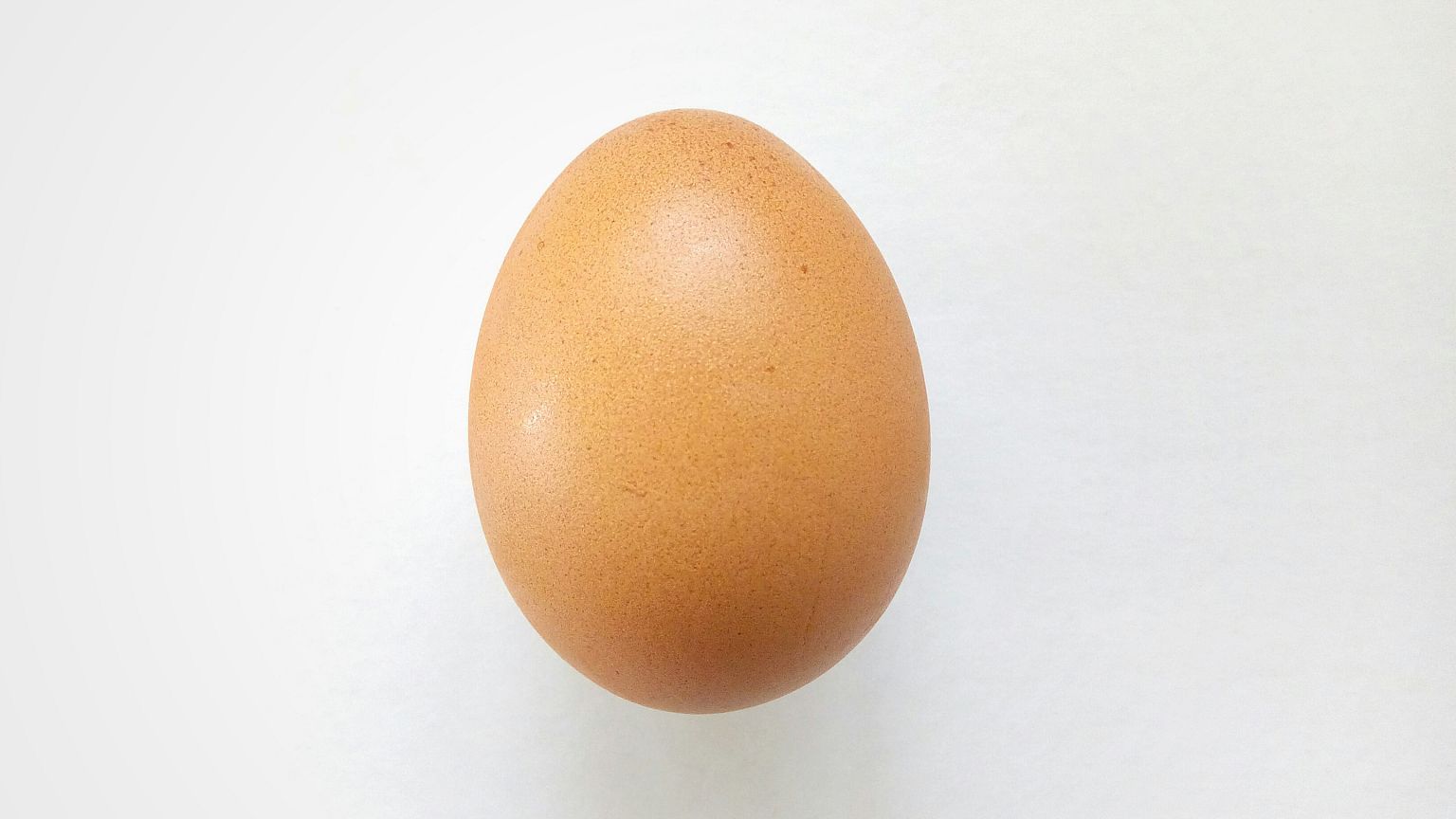 Close-Up Of Egg Over White Background