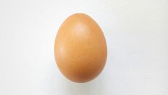 Close-Up Of Egg Over White Background