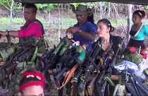 Alrededor de 6.900 guerrilleros de las FARC llegaron a zonas donde dejarán armas