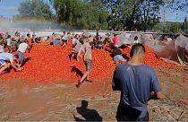 Chile: A guerra do tomate