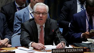 Russia's UN ambassador dies
