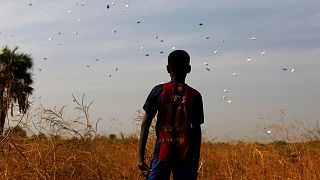 Güney Sudan: Kıtlık ve şiddetle iç içe yaşayan ülke