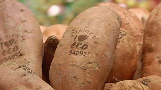 Marquage au laser de fruits et légumes