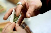 A szabályozott marihuána-termesztés mellett szavazott a holland parlament