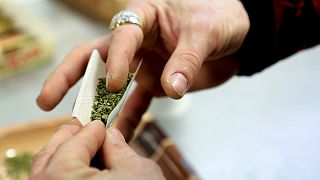 A szabályozott marihuána-termesztés mellett szavazott a holland parlament