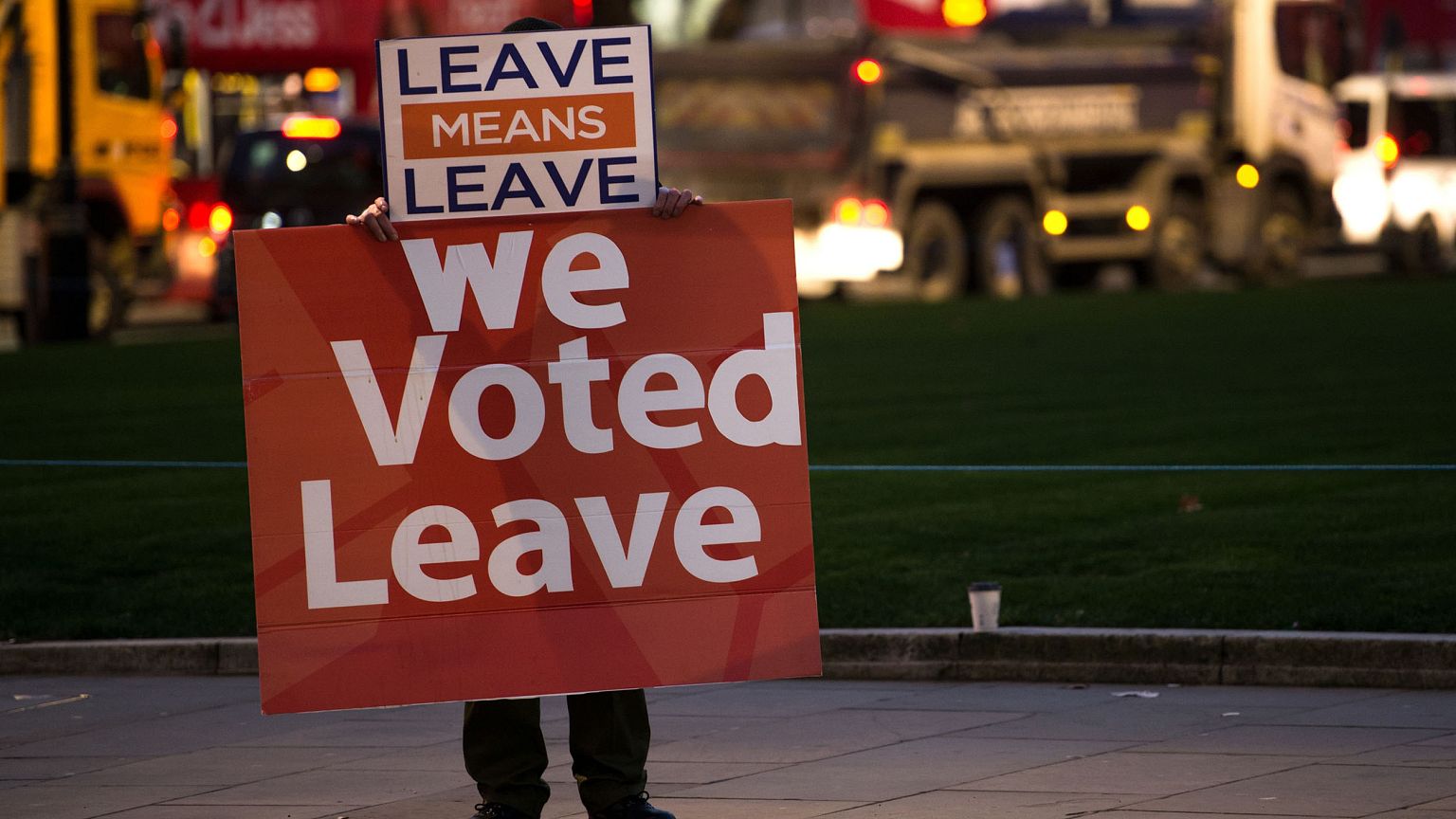 Image: A pro-Brexit supporter