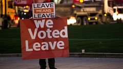 Image: A pro-Brexit supporter