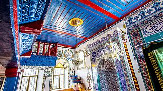 Trabzon camileri görenleri şaşırtıyor